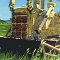 Cat in the Grass • 2004 • Acrylic on Canvas • 40 x 36 inches • PRIVATE COLLECTION